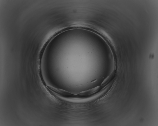 X0000091671376200708301450