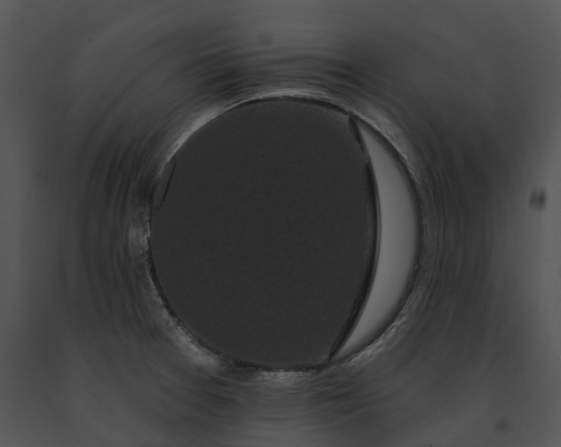 X0000091671377200708301450