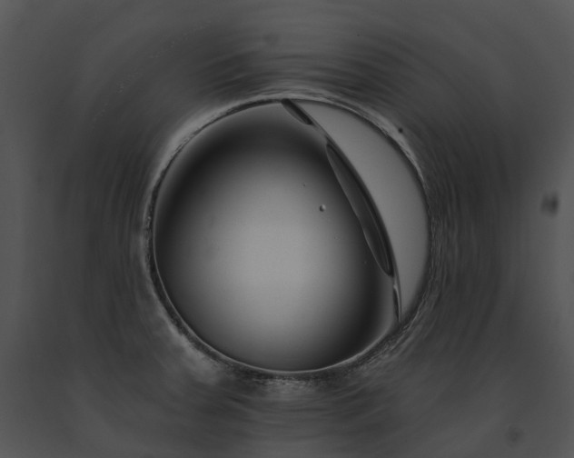 X0000091671379200708301450