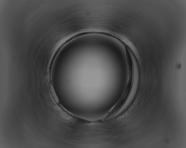 X0000091671380200708301450