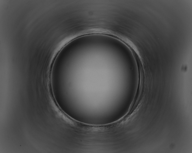 X0000091671381200708301450