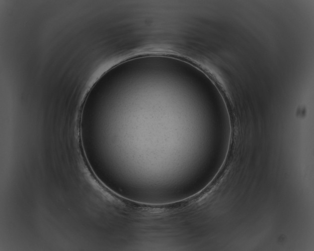 X0000091671382200708301450