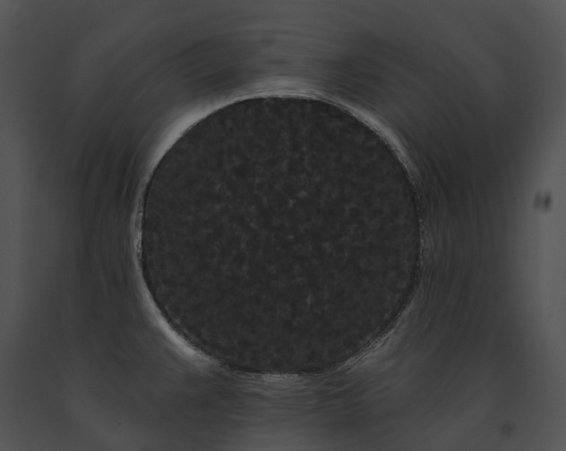 X0000091671383200708301450