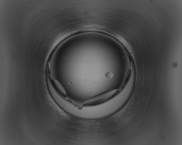 X0000091671384200708301450