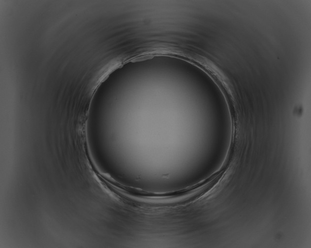 X0000091671385200708301450