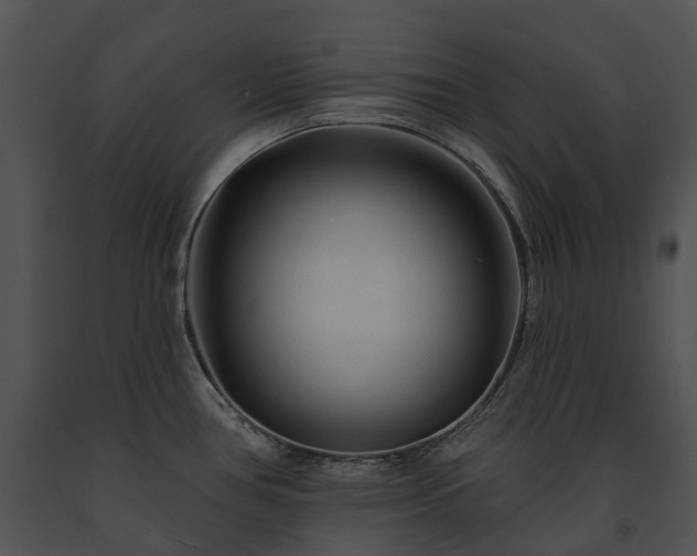 X0000091671386200708301450
