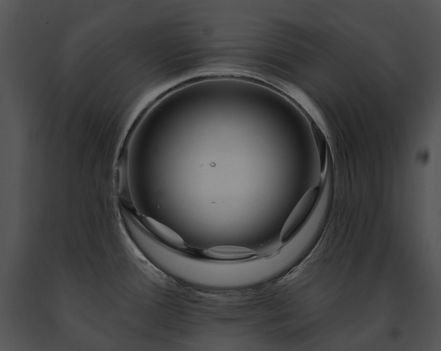 X0000091671388200708301450