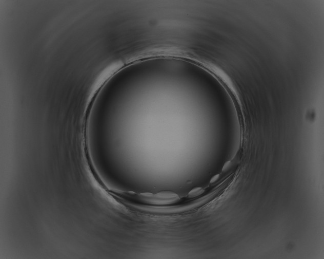 X0000091671389200708301450