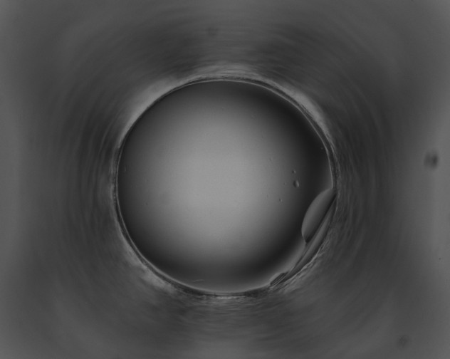 X0000091671390200708301450
