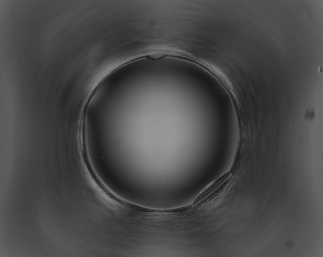 X0000091671391200708301450