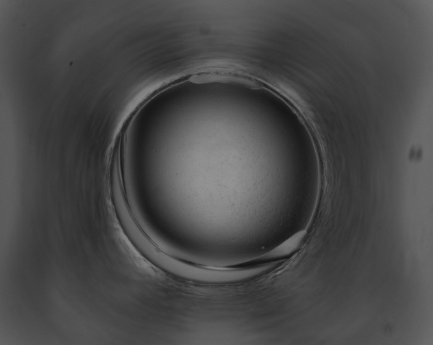 X0000091671392200708301450