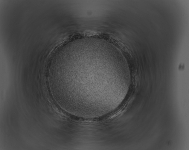 X0000091671393200708301449