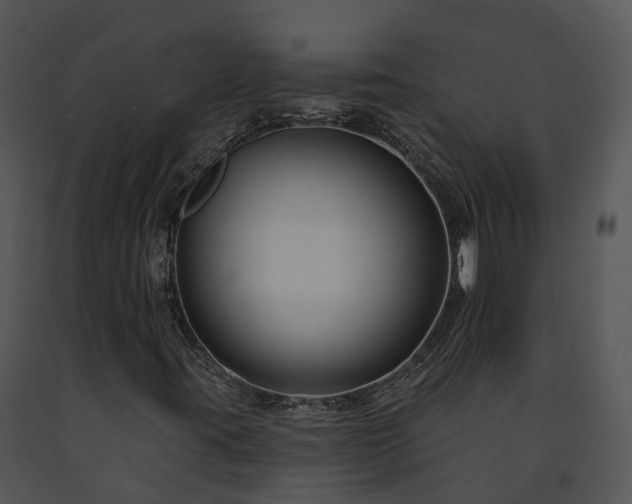 X0000091671395200708301449