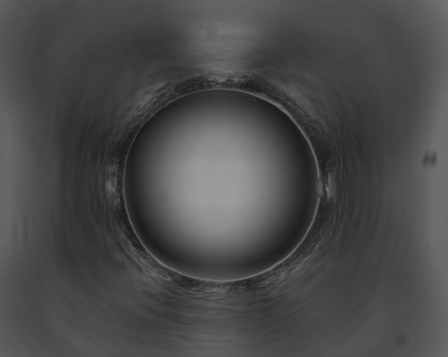 X0000091671396200708301449