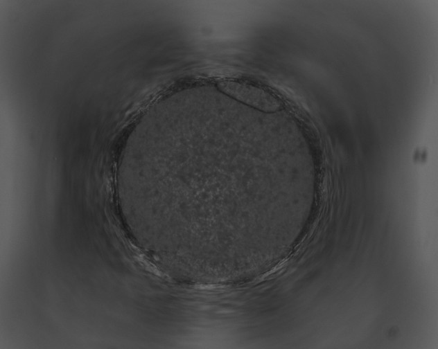 X0000091671397200708301449