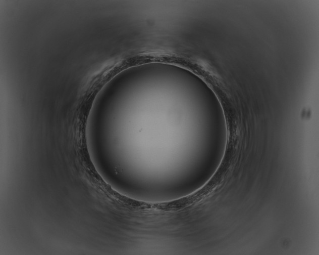 X0000091671398200708301449