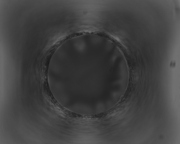 X0000091671399200708301449