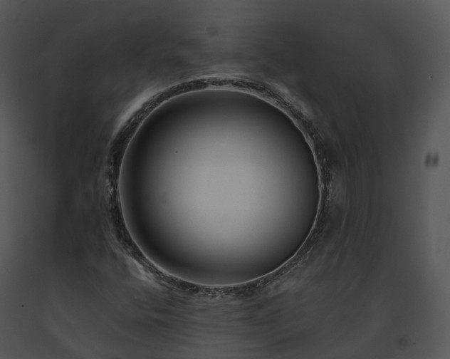 X0000091671400200708301449