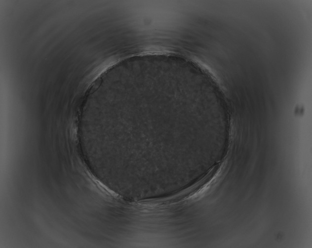 X0000091671401200708301449