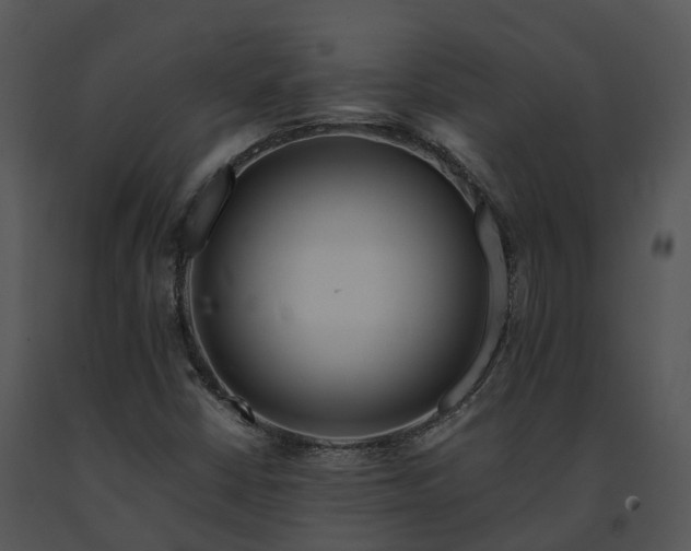 X0000091671402200708301449