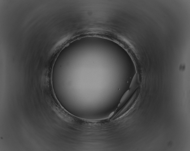X0000091671403200708301449