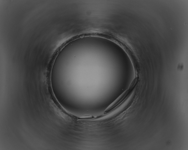 X0000091671404200708301449