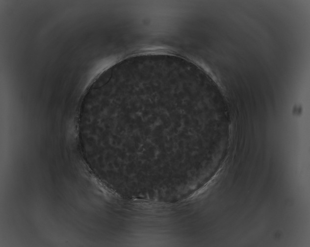 X0000091671405200708301449
