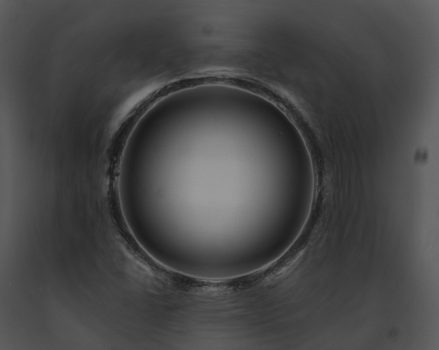 X0000091671406200708301449