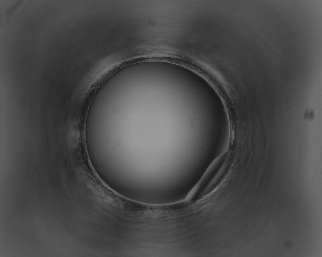 X0000091671407200708301449