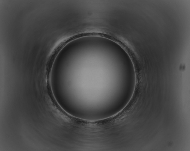 X0000091671408200708301450
