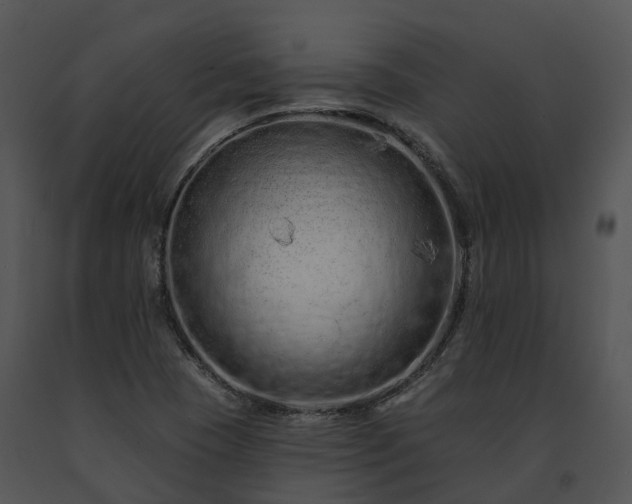 X0000091671409200708301450