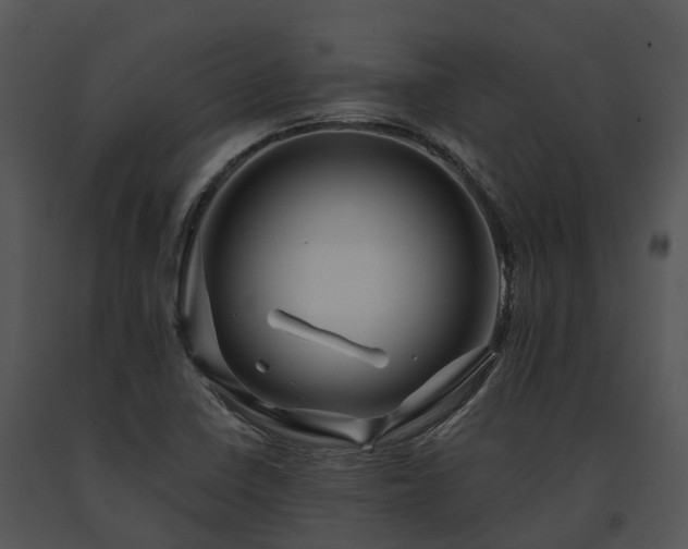X0000091671410200708301450