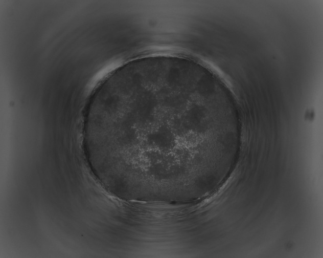 X0000091671411200708301450