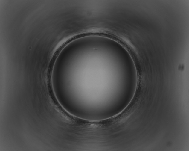 X0000091671412200708301450