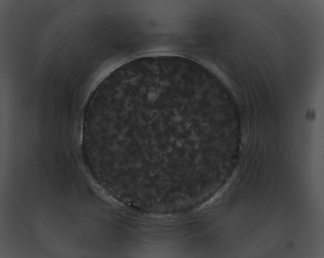 X0000091671413200708301450