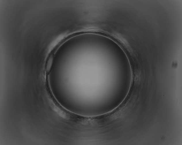 X0000091671414200708301450