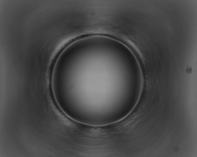 X0000091671416200708301450