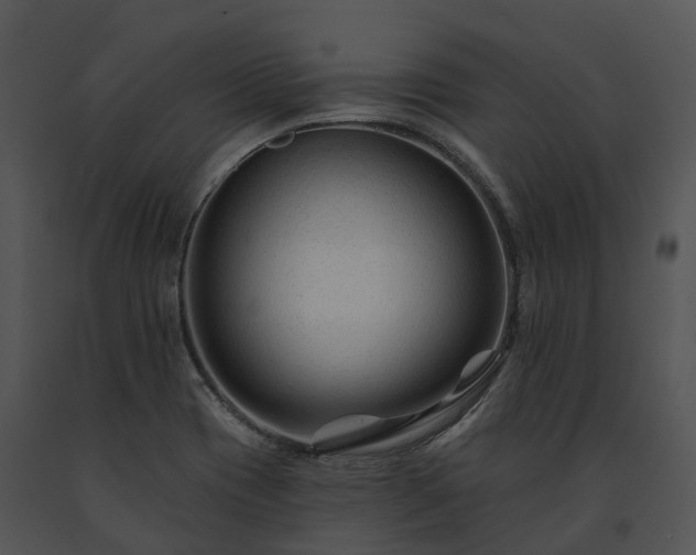 X0000091671417200708301450