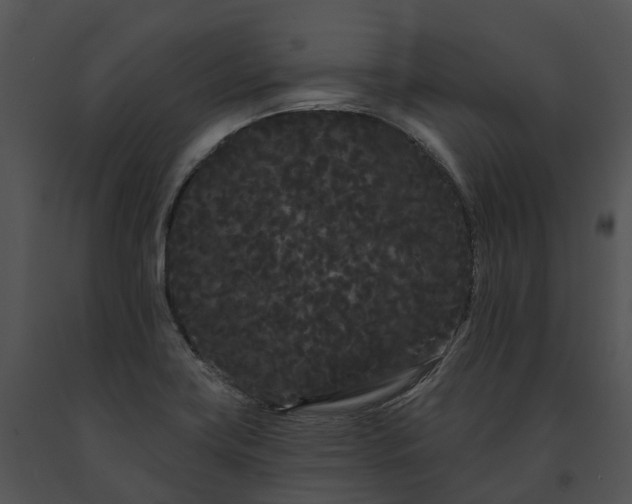 X0000091671419200708301450