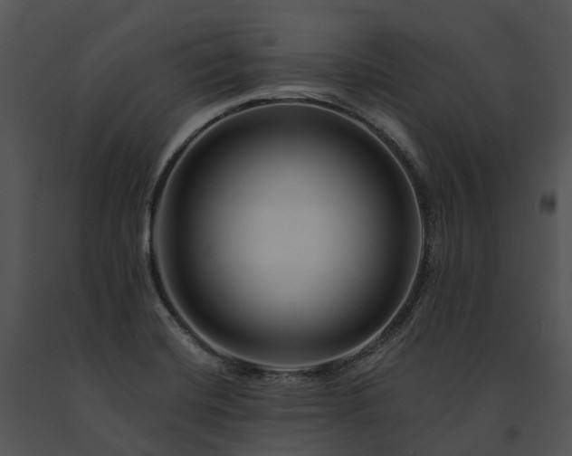 X0000091671420200708301450