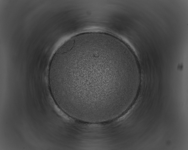X0000091671421200708301450