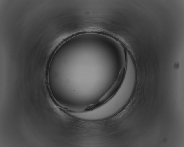 X0000091671422200708301450