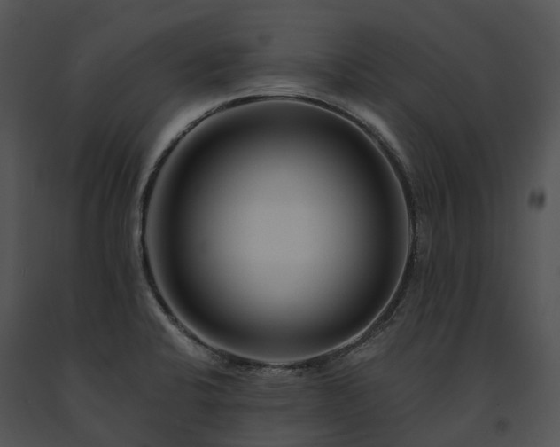 X0000091671424200708301450