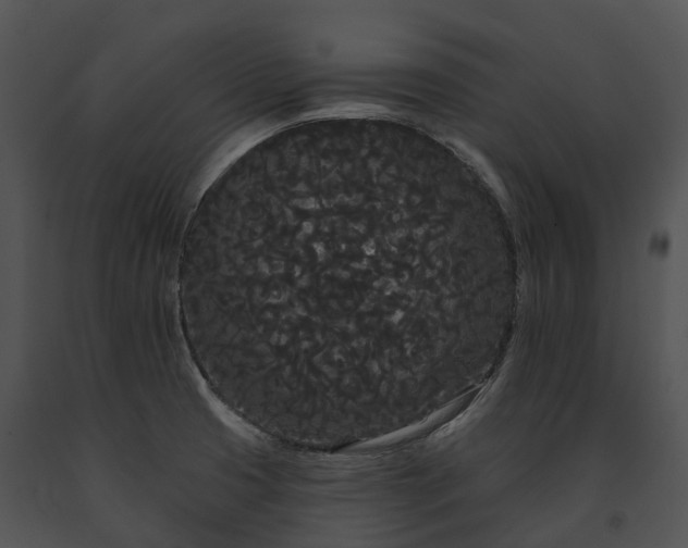 X0000091671425200708301450