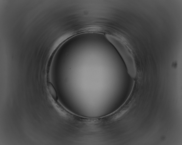 X0000091671426200708301450