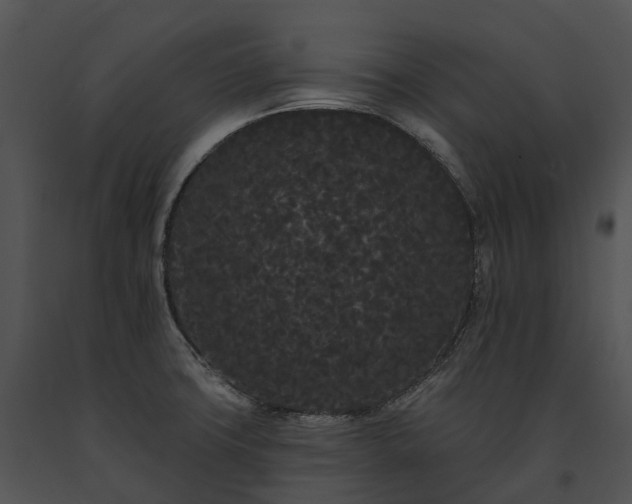 X0000091671427200708301450
