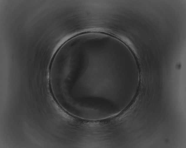 X0000091671428200708301450