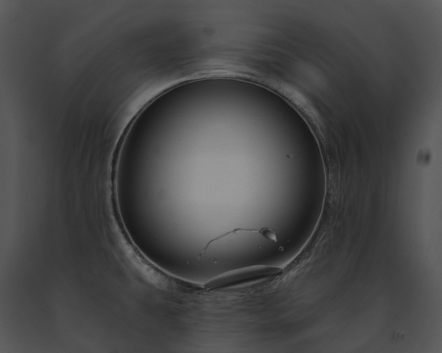 X0000091671431200708301450