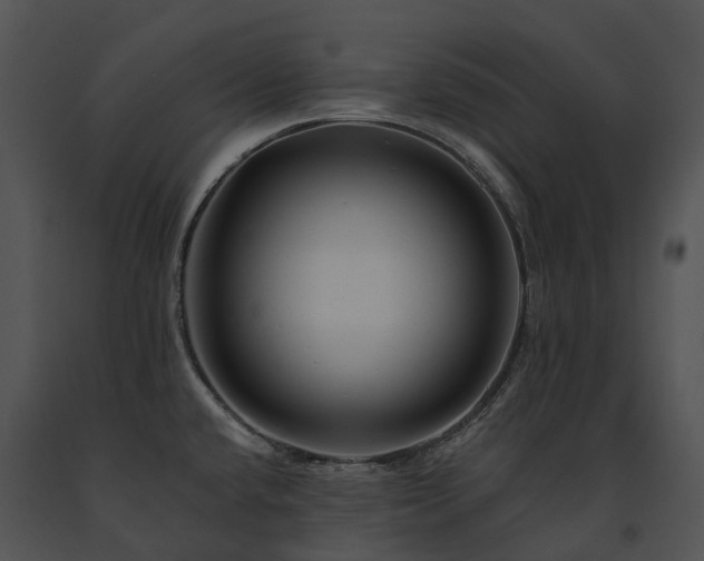 X0000091671432200708301450