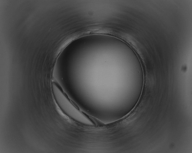 X0000091671433200708301450